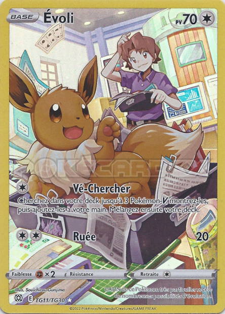 Image de la carte Evoli TG11