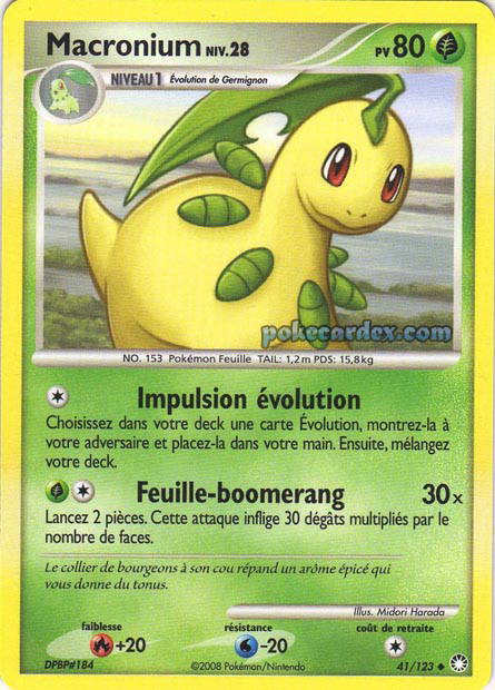 Image de la carte Macronium 41/123