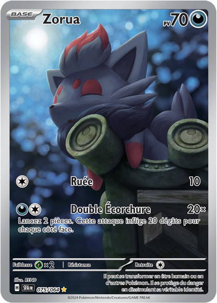 Image de la carte Zorua 75/64