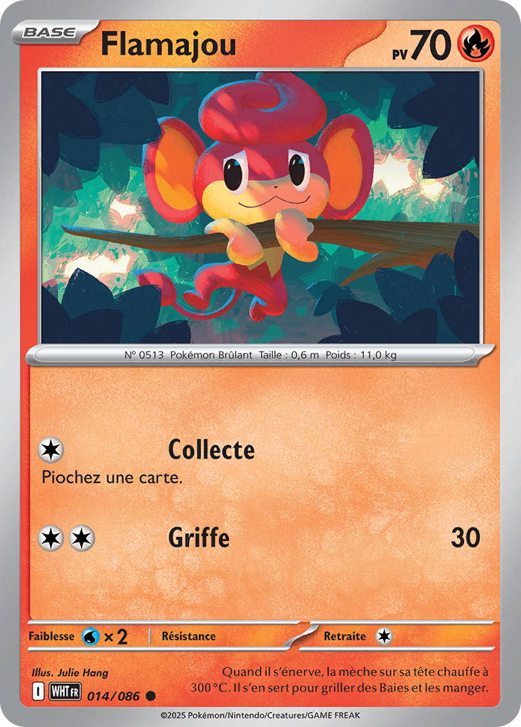 Image de la carte Flamajou 14/86